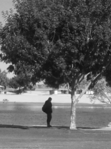 person and tree